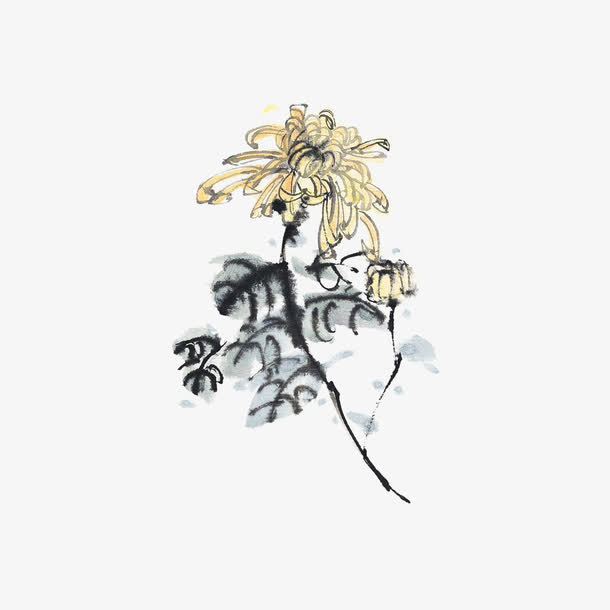 关键词 : 国画菊花,中国风,水墨画,水墨菊花,菊花,国画[声明] 觅元素