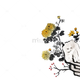 手绘菊花