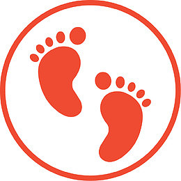 脚印按章