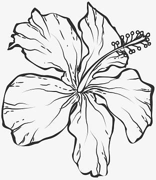 简约腊梅花朵aipng唯美卡通粉红色春季樱花桃花素材aipng卡通手绘花芯