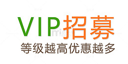 现代简洁VIP招募艺术字