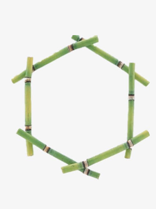 六角形竹子边框