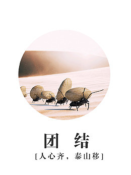 团结共赢