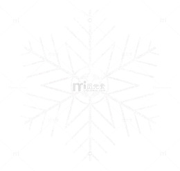 白色雪花