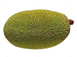 菠萝蜜
