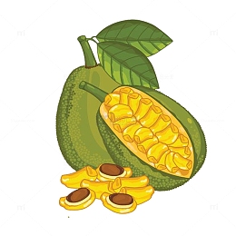 菠萝蜜素材