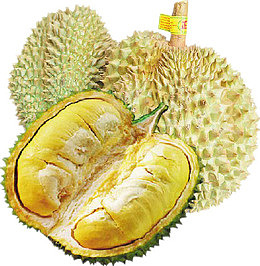 菠萝蜜