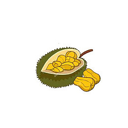 手绘菠萝蜜素材免抠