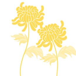 矢量秋菊