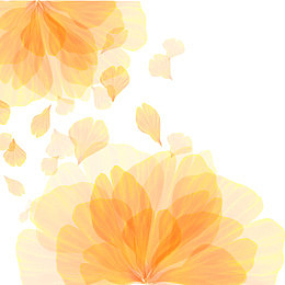 黄色唯美花瓣