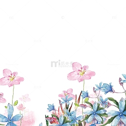 花卉植物装饰边框