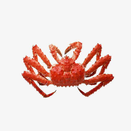 红色螃蟹