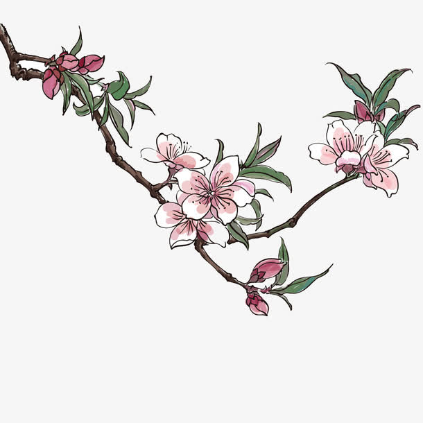 手绘桃花枝叶