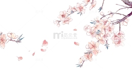 手绘樱花花枝免抠素材