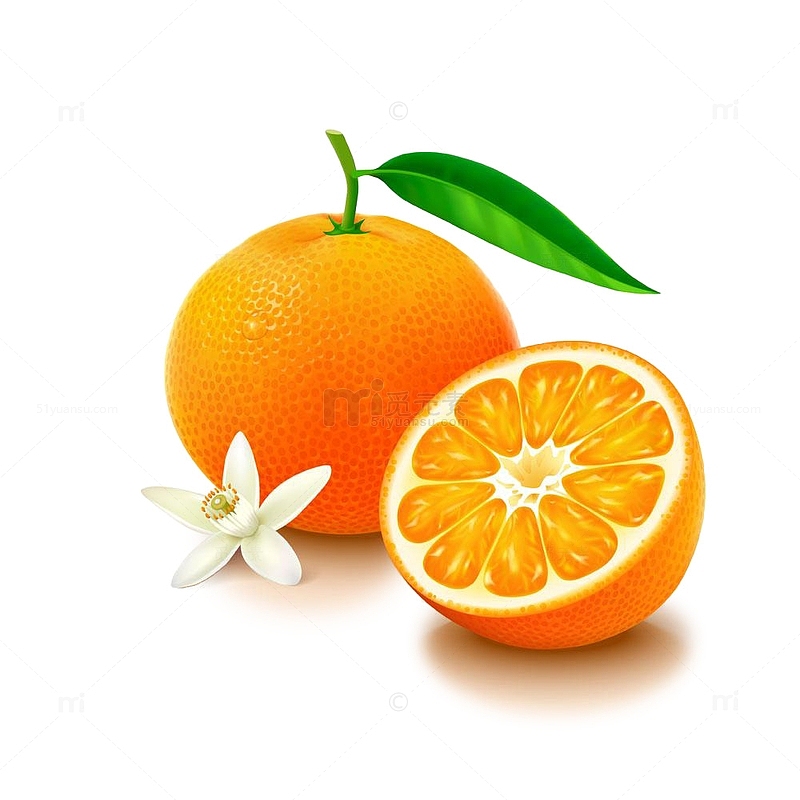 卡通香橙和橙子花