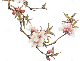 手绘桃花树枝