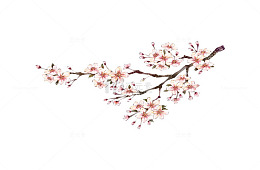 手绘桃花