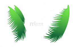 卡通手绘椰树叶子