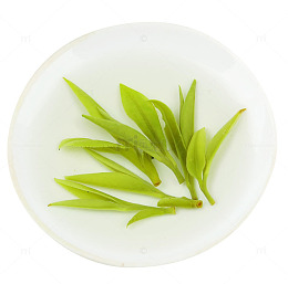 冲泡后的毛尖茶