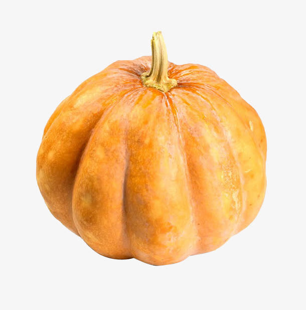 南瓜高清素材