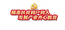 精准扶贫工作
