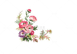 花朵免费下载素材