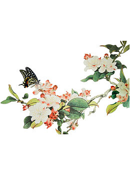 手绘海棠花免费图片