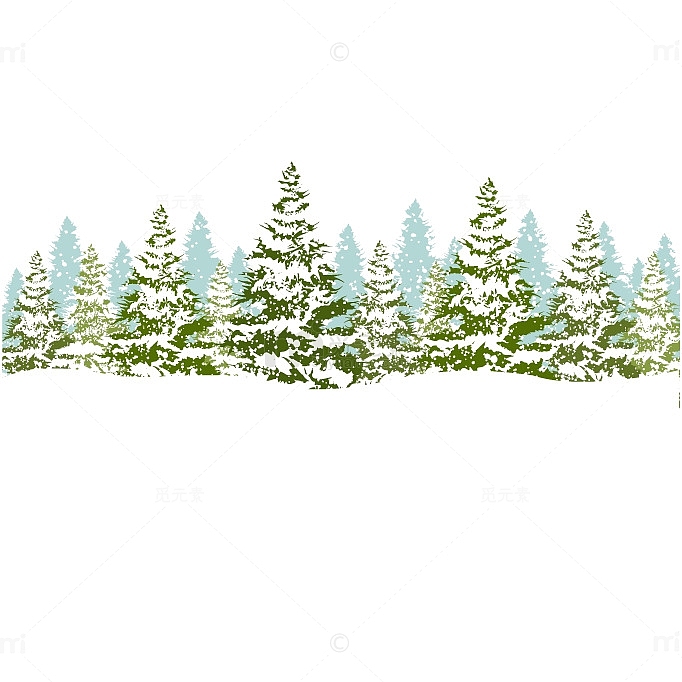 下过雪的圣诞树