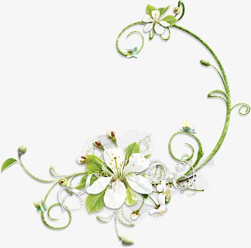 花朵边框边角装饰
