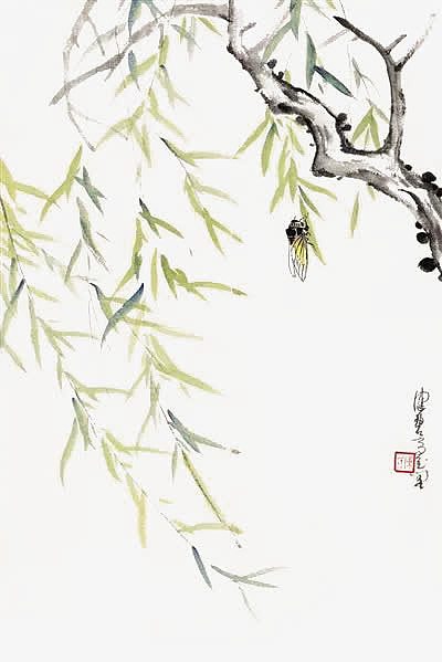 蝉鸣垂柳