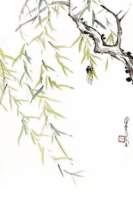 蝉鸣垂柳