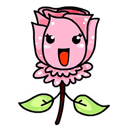 是玫瑰花