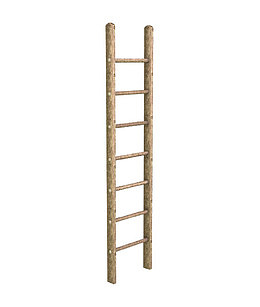 竖起的梯子