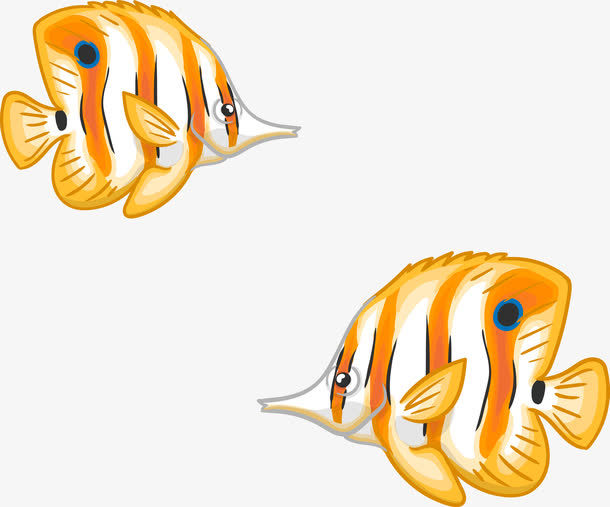 矢量手绘热带鱼