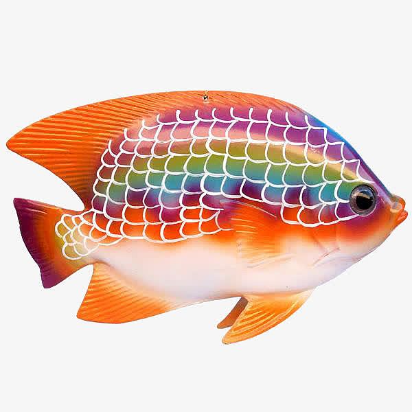 彩虹鱼