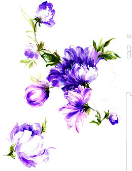 蓝色菊花