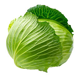 绿甘兰蔬菜