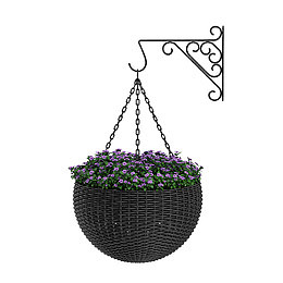 墙壁花纹紫色吊篮花