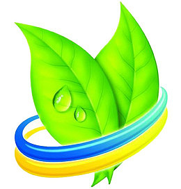 绿茶的提神及其他功效
