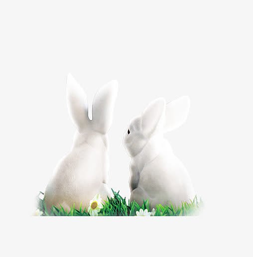 白色兔子装饰图案