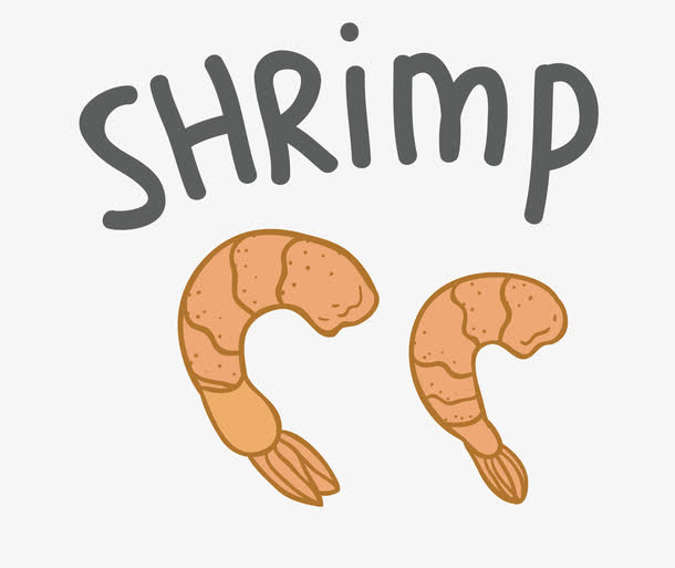 矢量虾仁