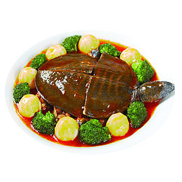 炖甲鱼