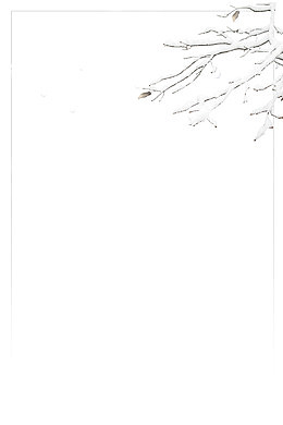 落雪的树枝