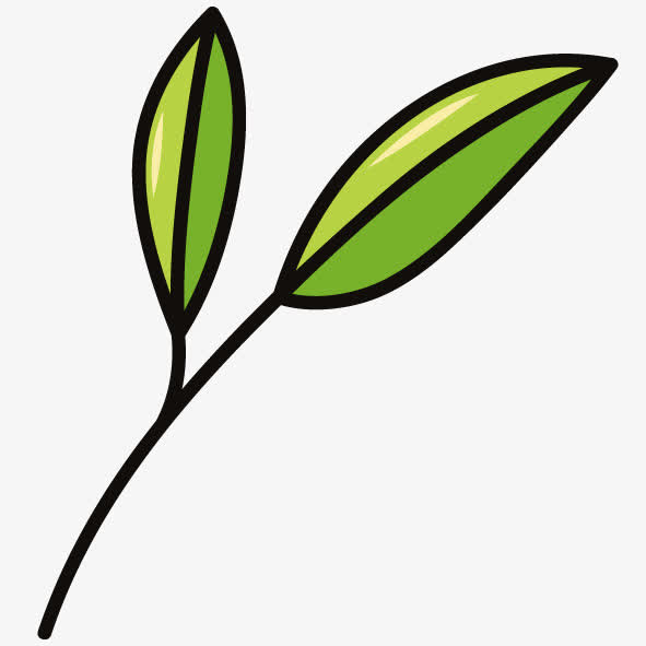 手绘卡通橄榄叶