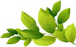 手绘绿叶装饰图案