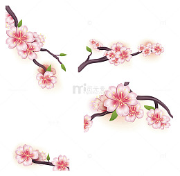 卡通樱花树枝