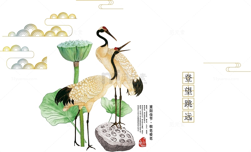 中国画仙鹤和莲蓬
