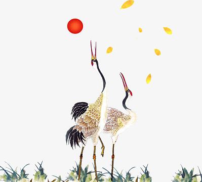 仙顶鹤素材_仙顶鹤图片元素-觅元素