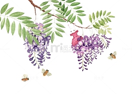 紫藤花与蜜蜂图片素材