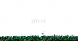 绿色草地草坪边框纹理
